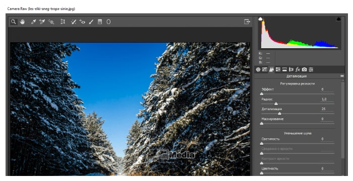 4 Cara Mengaktifkan Adobe Camera Raw dengan Baik