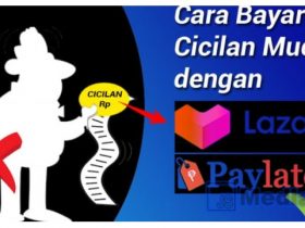 Bayar Cicilan dengan Lazada Paylater Lebih Mudah dan Cepat Tanpa Kartu Kredit