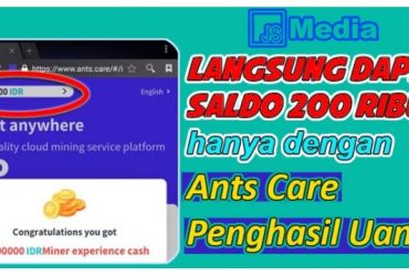 Ants Care Penghasil Uang Penipuan? Berikut Info Lengkapnya!