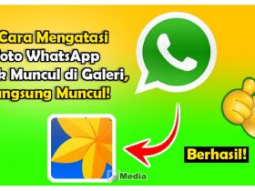 5 Cara Atasi Foto WhatsApp Tidak Muncul di Galeri