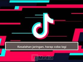 Kesalahan jaringan tiktok lite