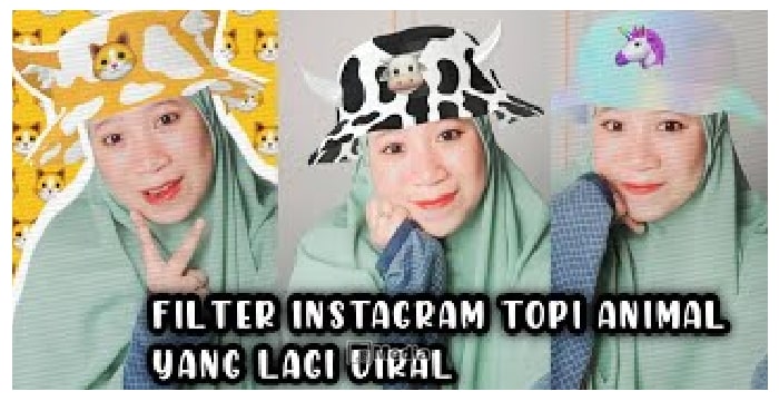 Apa Itu Filter IG Animal Hat Topi?