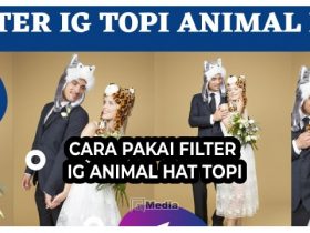 7 Cara Pakai Filter IG Animal Hat Topi, Keren dan Lucu!