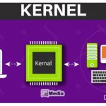 Pengertian Kernel : Cara Kerja, Fungsi, Jenis-Jenis Kernel