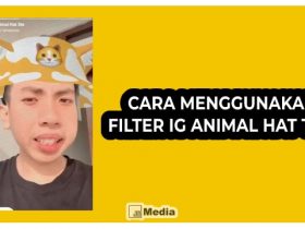 7 Cara Pakai Filter IG Animal Hat Topi Auto Tambah Follower