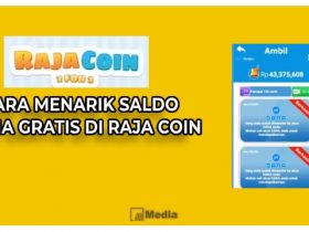 Raja Coin, Apakah Terbukti Membayar?