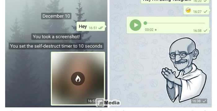 5 Alasan Kenapa Telegram Tidak Bisa Mendownload Video