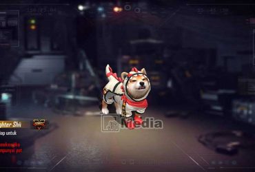 Skin Pet Shiba Fighter Gratis