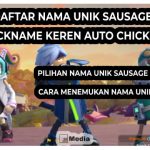 101+ Daftar Nama Unik Sausage Man, Nickname Keren Auto Chicken