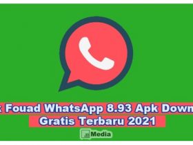 Download Fouad WhatsApp 8.93 MOD Apk Terbaru Agustus 2021