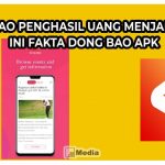 Dong Bao Penghasil Uang Menjanjikan? Ini Fakta Dong Bao Apk