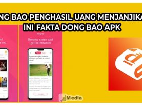 Dong Bao Penghasil Uang Menjanjikan? Ini Fakta Dong Bao Apk