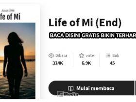 Novel Romansa Life Of Mi, Baca Disini Gratis Bikin Terharu