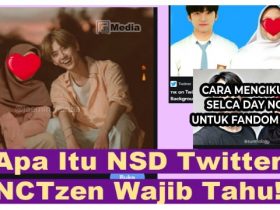 Apa Itu NSD Twitter Viral? NCTzen Wajib Tahu!