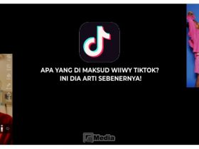 Apa Yang di Maksud Wiiwy TikTok? Ini Dia Arti Sebenernya!