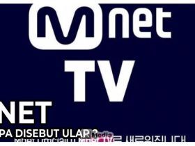 Mnet Kenapa Disebut Ular? Ini Dia Alasannya