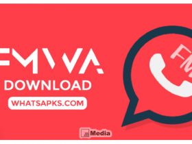 Download FMWA 8.95 Fmmods.App Full Versi Terbaru Gratis