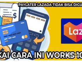 Paylater Lazada Tidak Bisa digunakan? Pakai Cara Ini Works 100%