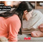 Link Telegram Hometown Cha Cha Cha Sub Indo Full Episode Lengkap