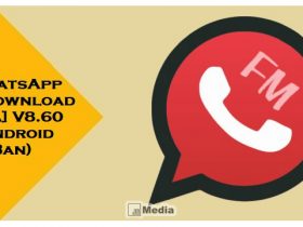 Download FM Whatsapp 8.60 Apk, Lindungi Akun Dari Peretasan