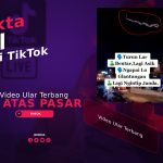 Video Ular Terbang Di Atas Pasar Viral Di TikTok