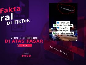 Video Ular Terbang Di Atas Pasar Viral Di TikTok