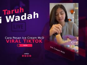 Cara Pesan Ice Cream McD Viral TikTok Taruh Wadah