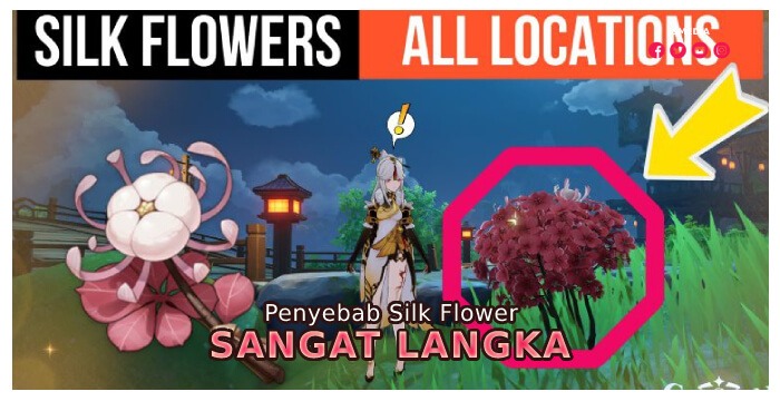 Penyebab Silk Flower Sangat Langka