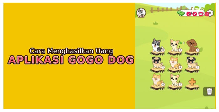 Cara Menghasilkan Uang di Aplikasi Gogo Dog