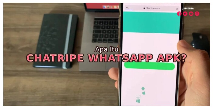 Apa Itu Chatripe Whatsapp Apk?