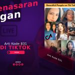 Penasaran Dengan Arti Kode 831 Di TikTok? Ini Dia Jawabannya