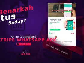 Benarkah Situs Sadap Chatripe Whatsapp Apk Aman Digunakan?