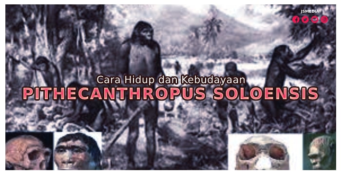 Cara Hidup dan Kebudayaan Pithecanthropus Soloensis