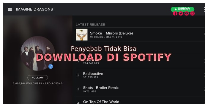 Penyebab Tidak Bisa Download di Spotify