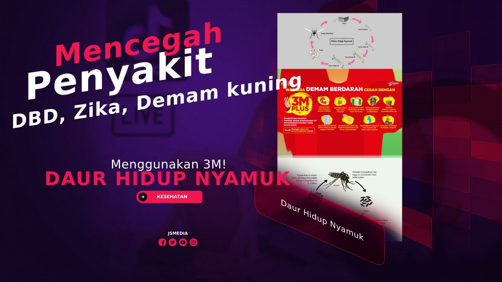 Daur Hidup Nyamuk dengan 3M! Mencegah Penyakit DBD