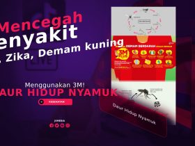 Daur Hidup Nyamuk dengan 3M! Mencegah Penyakit DBD