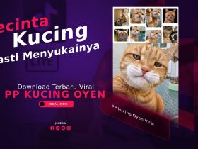 Download PP kucing Oyen Viral, Pecinta Kucing Pasti Suka