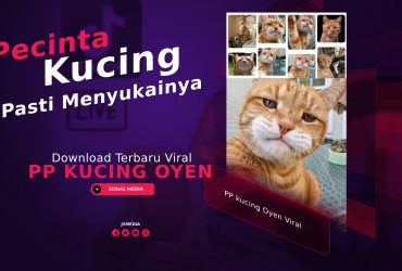 Download PP kucing Oyen Viral, Pecinta Kucing Pasti Suka