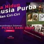 Pithecanthropus Soloensis, Solo: Cara Hidup Manusia Purba dan Ciri-Ciri