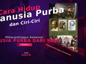 Pithecanthropus Soloensis, Solo: Cara Hidup Manusia Purba dan Ciri-Ciri