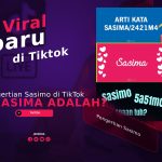 Arti Sasima/Sasimo di TikTok Viral, Begini Pengertiannya