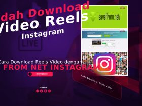 Cara Download Reels Video dengan Save From Net Instagram