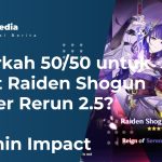 Raiden Shogun Banner Rerun 2.5