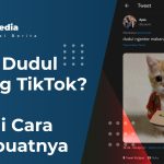 Siapa Dudul Kucing TikTok