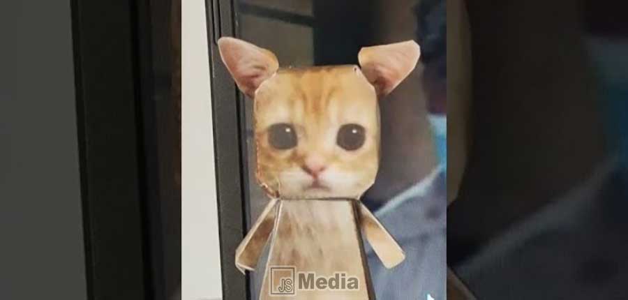 Siapa Dudul Kucing TikTok 