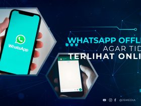 Whatsapp Offline