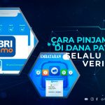 Cara Pinjam Uang di DANA Paylater Selalu Lolos Verifikasi