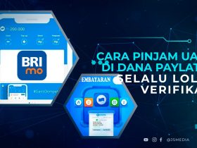 Cara Pinjam Uang di DANA Paylater Selalu Lolos Verifikasi