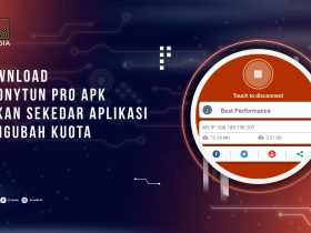 Anonytun Pro APK