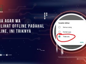 Cara Agar WA Terlihat Offline Padahal Online, Ini Triknya